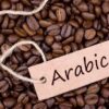 Arabica